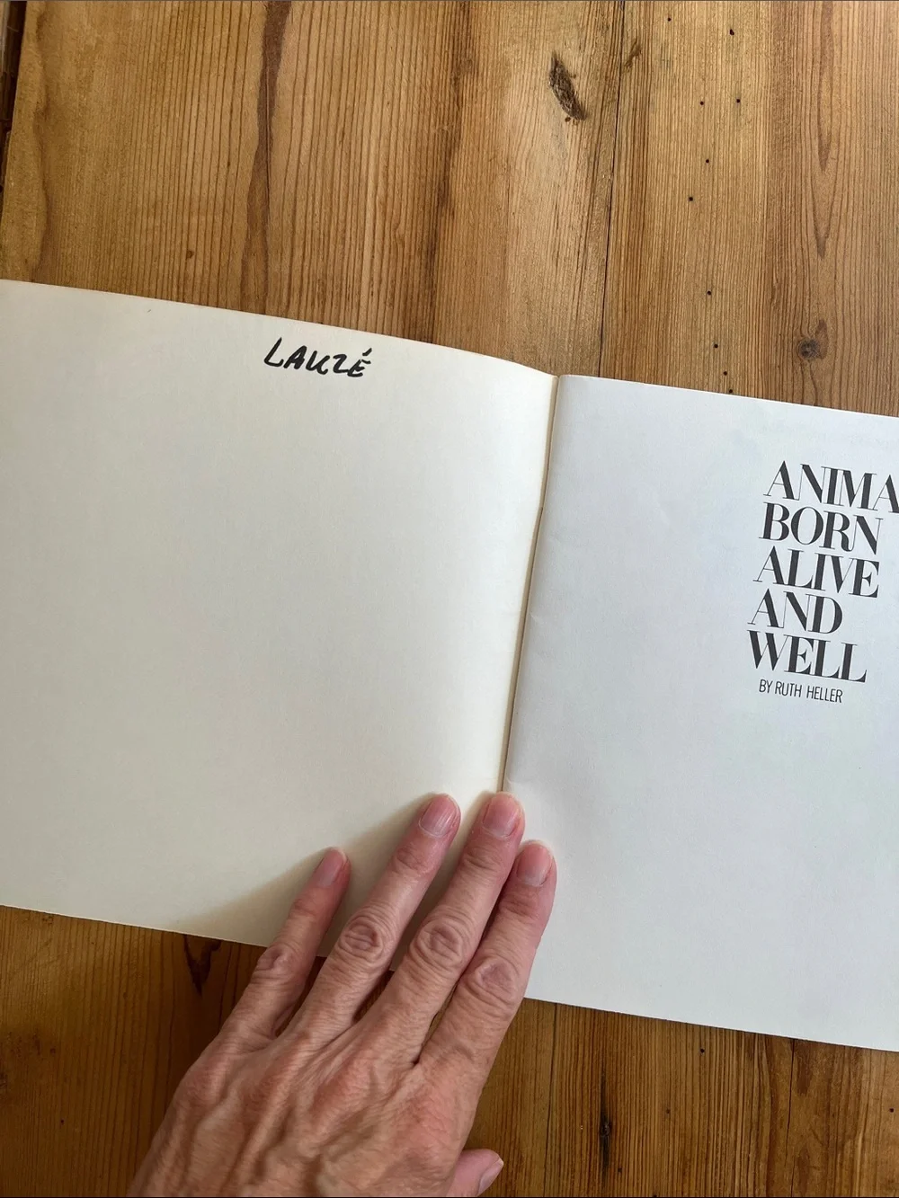 Ruth Heller SC Book 